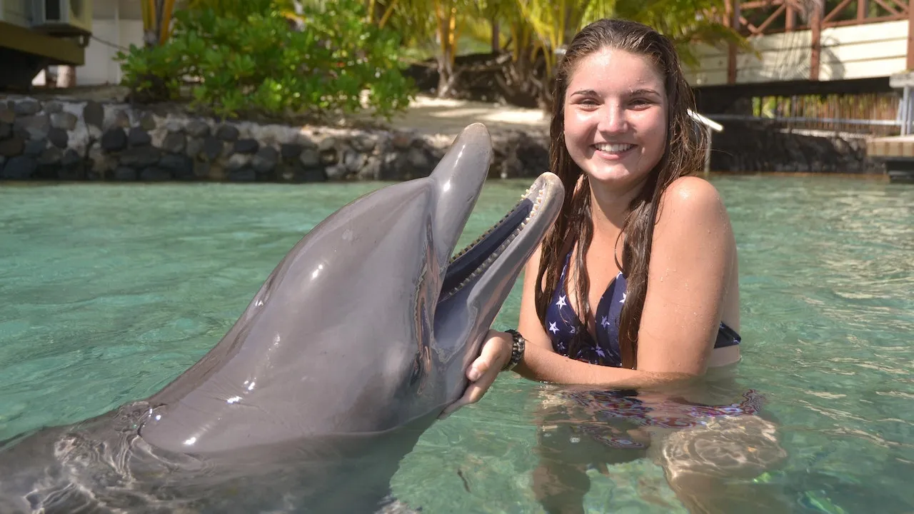  Swim with Dolphins & Dolphin Show Combo